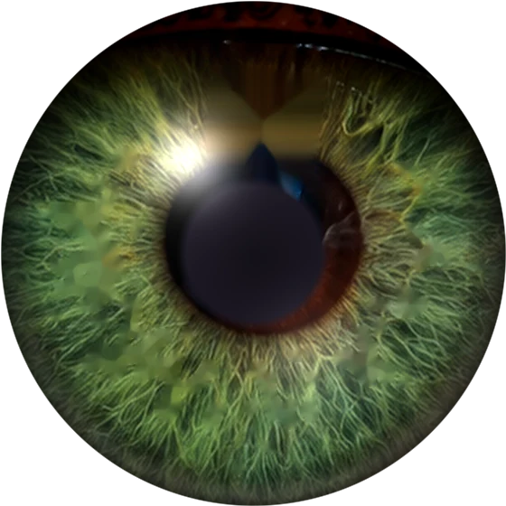 Lens swatch