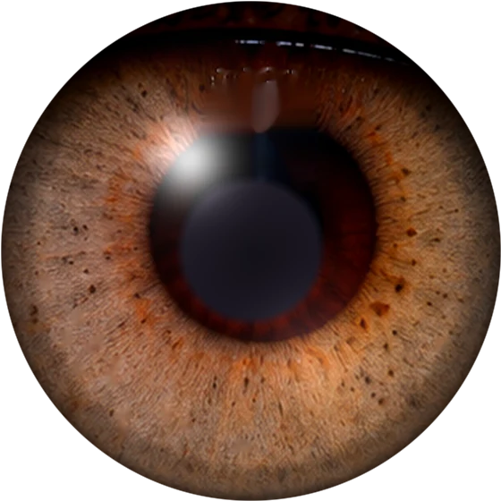 Lens swatch