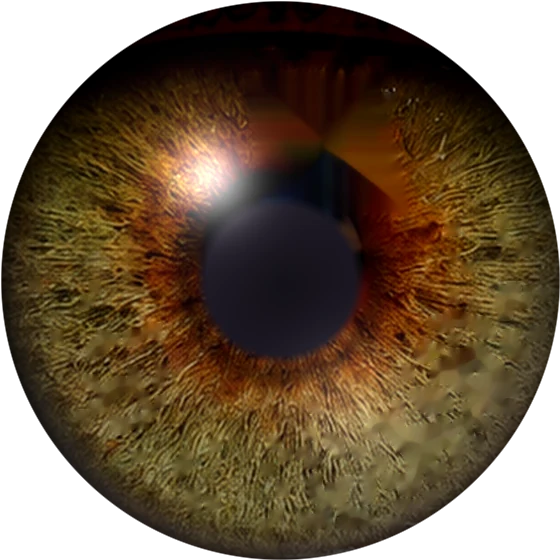 Lens swatch